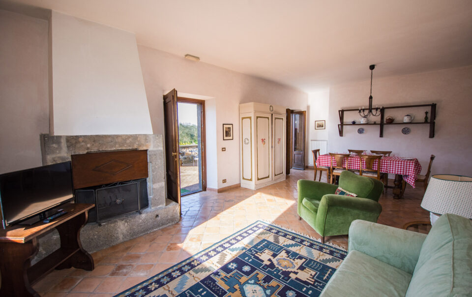Salone dell'appartamento Peonia con splendido camino in pietra